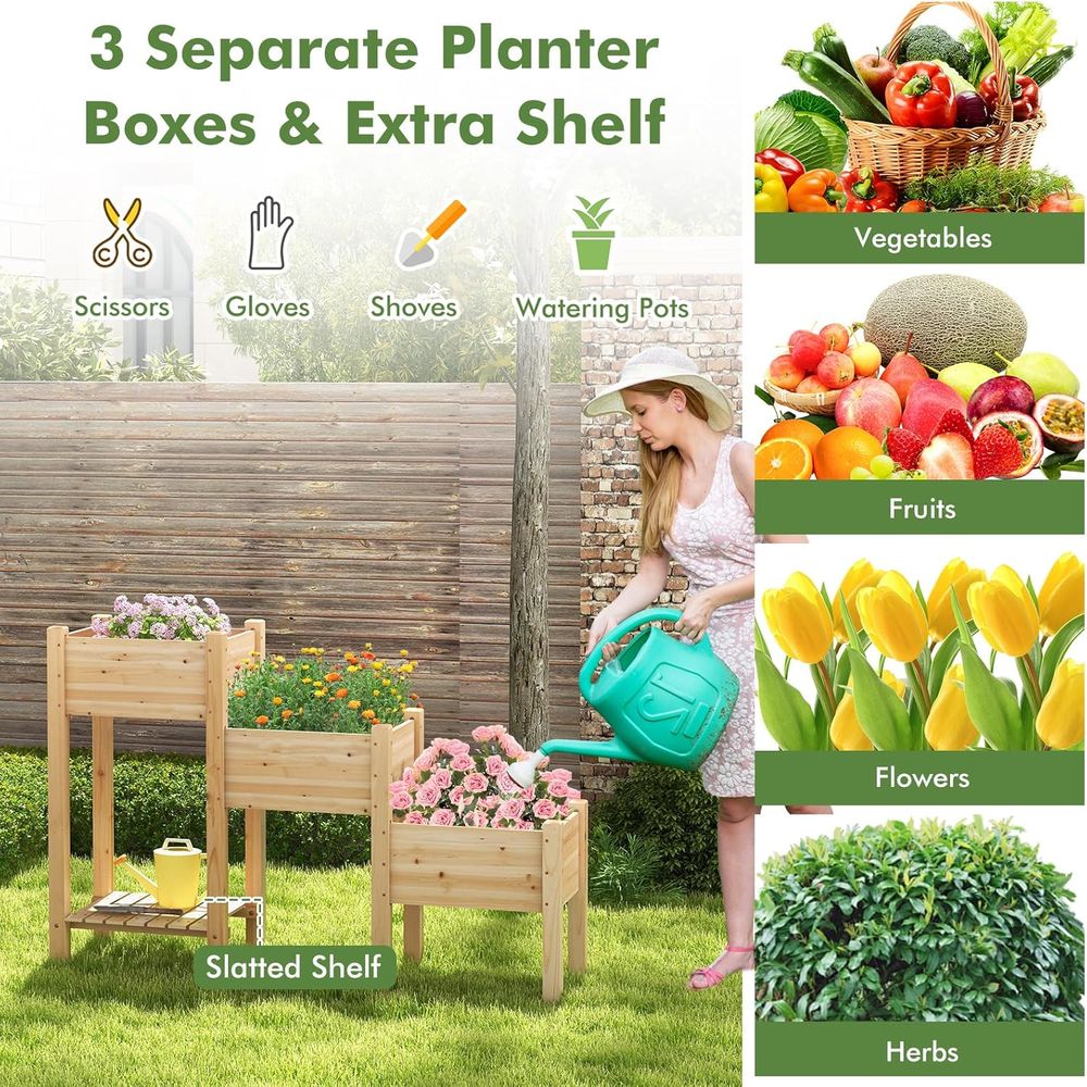 Jardinière surélevée en bois à - Garden Storage Box avis et prix